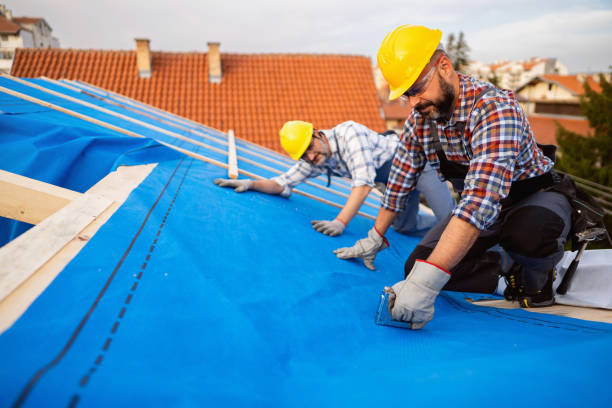 Best Storm Damage Roof Repair  in Cambridge, OH