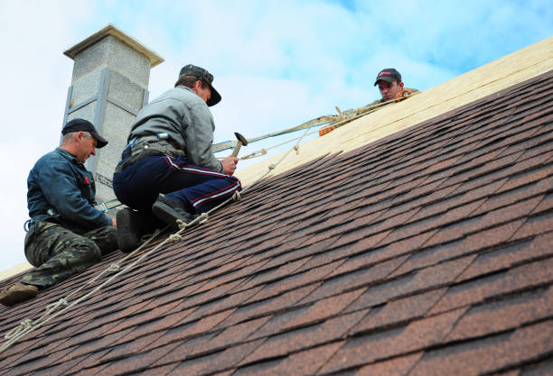 Best Affordable Roofing Company  in Cambridge, OH